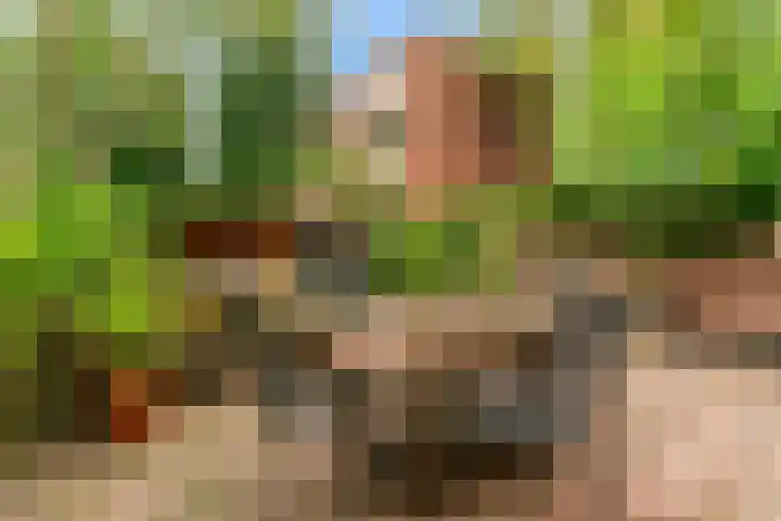 Van Alkemadelaan 42 Den Haag thumbnail 10
