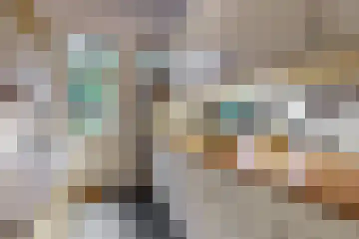 Van Alkemadelaan 42 Den Haag thumbnail 11