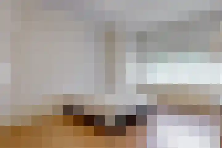 Van Alkemadelaan 42 Den Haag thumbnail 13