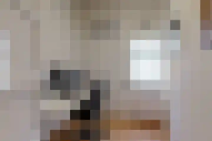 Van Alkemadelaan 42 Den Haag thumbnail 15
