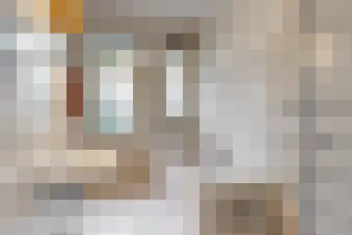 Van Alkemadelaan 42 Den Haag thumbnail 19