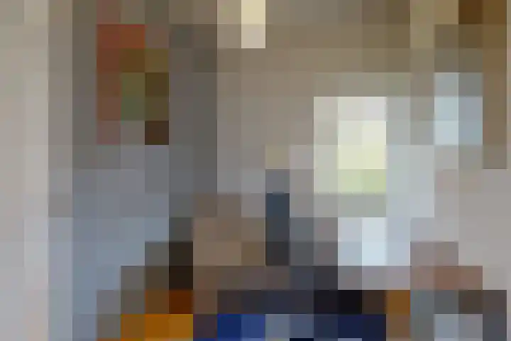 Van Alkemadelaan 42 Den Haag thumbnail 23