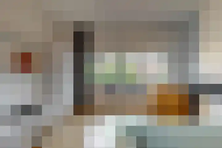 Van Alkemadelaan 42 Den Haag thumbnail 24