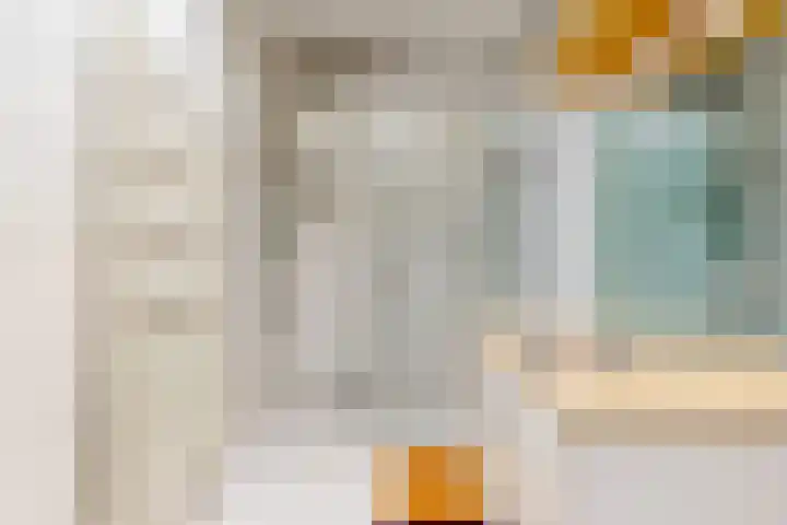Van Alkemadelaan 42 Den Haag thumbnail 26