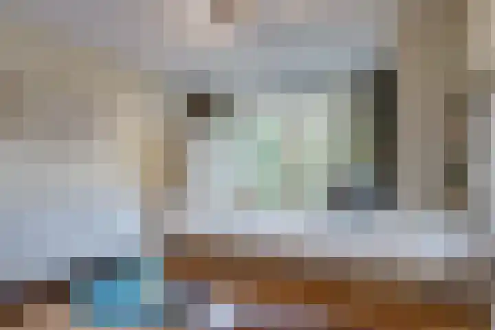 Van Alkemadelaan 42 Den Haag thumbnail 27
