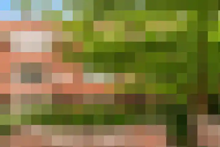 Van Alkemadelaan 42 Den Haag thumbnail 31