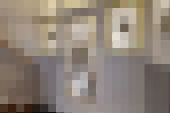 Van Alkemadelaan 42 Den Haag thumbnail 33