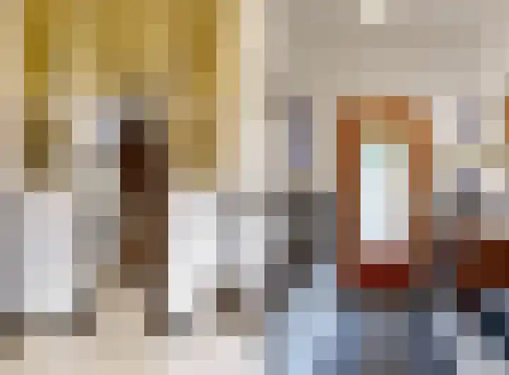 Van Alkemadelaan 42 Den Haag thumbnail 34