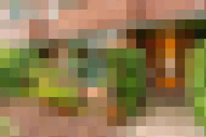 Van Alkemadelaan 42 Den Haag thumbnail 35