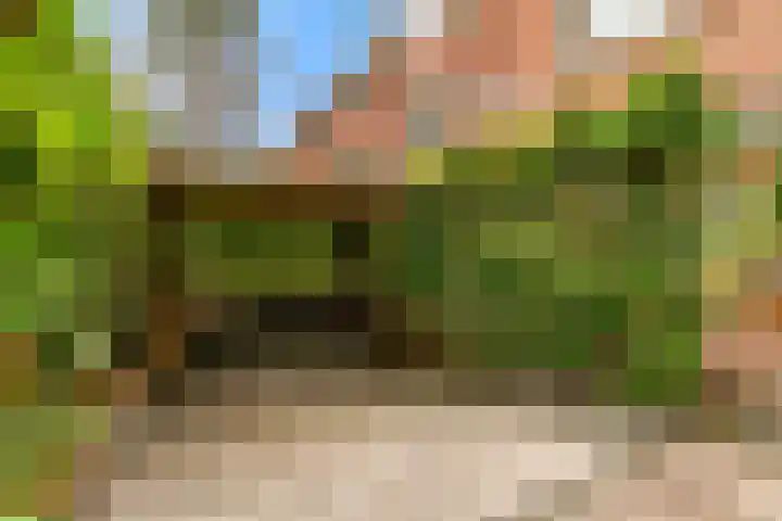 Van Alkemadelaan 42 Den Haag thumbnail 36