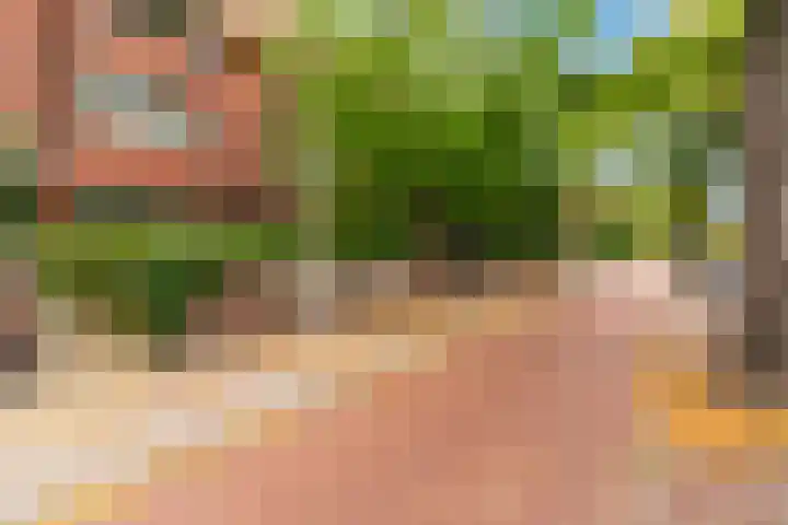 Van Alkemadelaan 42 Den Haag thumbnail 37