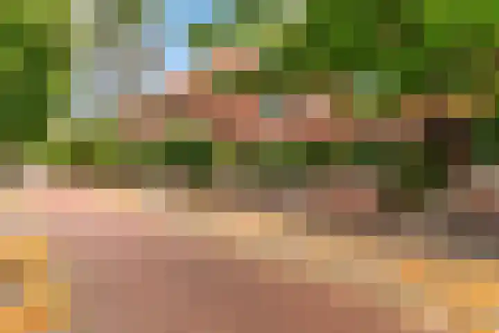 Van Alkemadelaan 42 Den Haag thumbnail 38