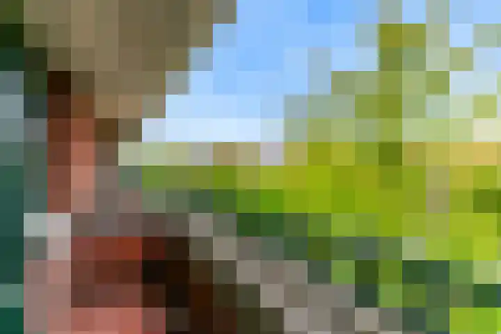 Van Alkemadelaan 42 Den Haag thumbnail 39