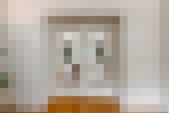 Van Alkemadelaan 42 Den Haag thumbnail 4