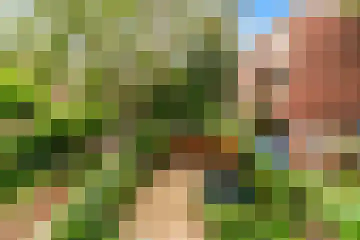 Van Alkemadelaan 42 Den Haag thumbnail 40