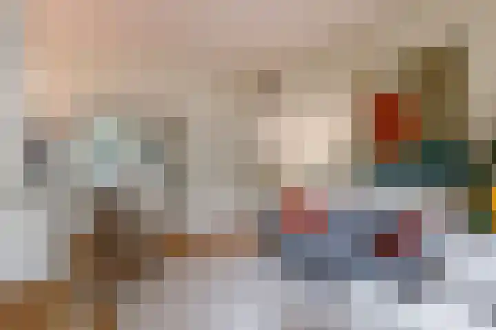 Van Alkemadelaan 42 Den Haag thumbnail 5
