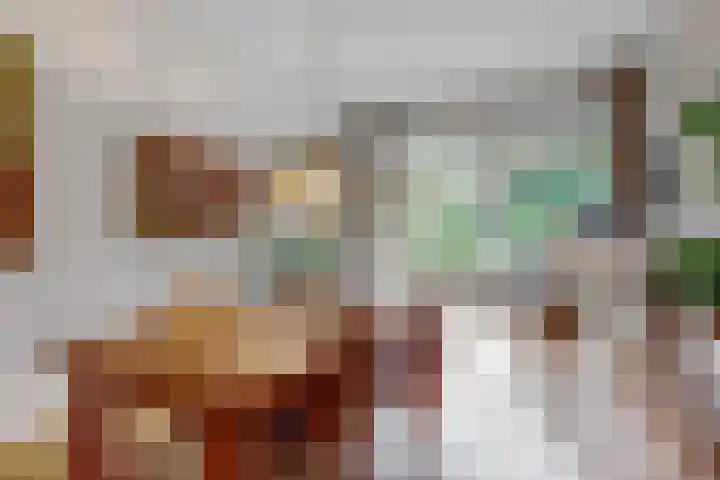 Van Alkemadelaan 42 Den Haag thumbnail 7
