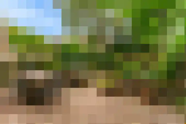 Van Alkemadelaan 42 Den Haag thumbnail 8