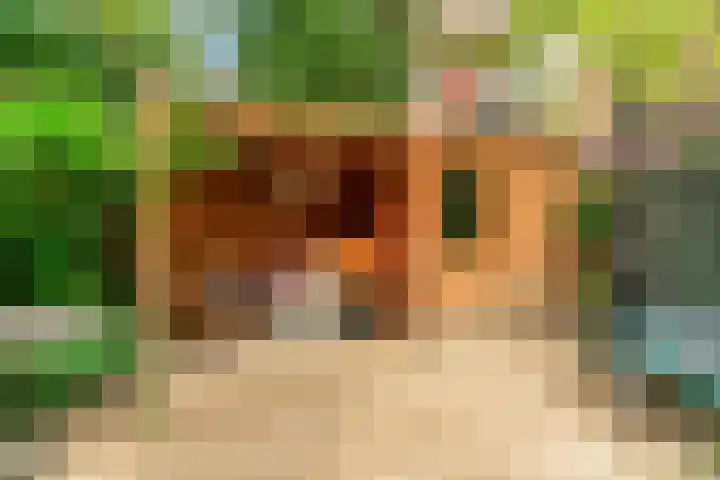 Van Alkemadelaan 42 Den Haag thumbnail 9