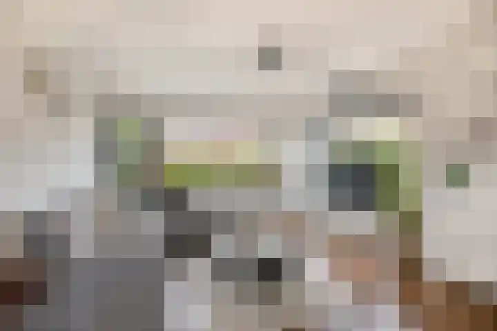 van Alkemadelaan 44 Brielle thumbnail 12