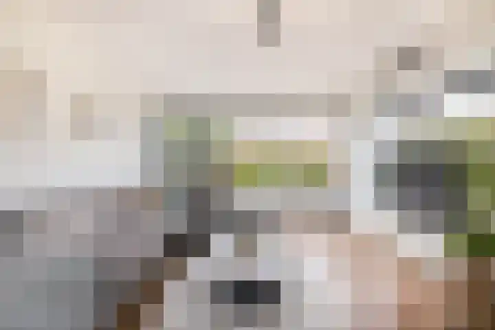 van Alkemadelaan 44 Brielle thumbnail 13