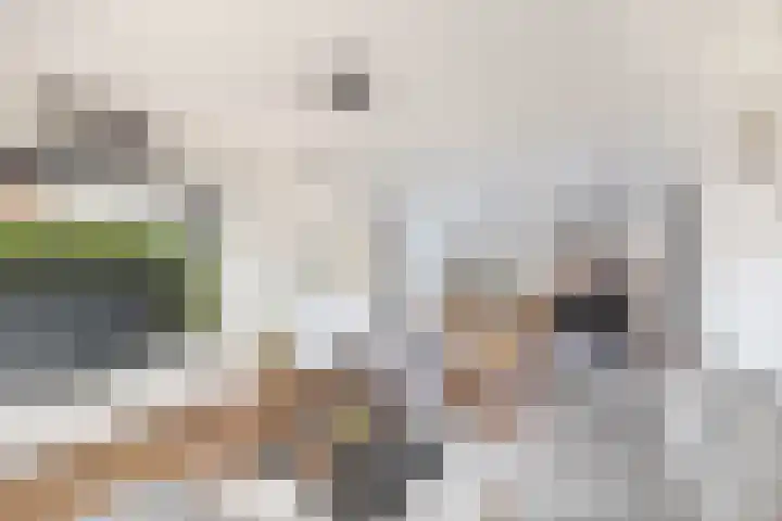 van Alkemadelaan 44 Brielle thumbnail 15
