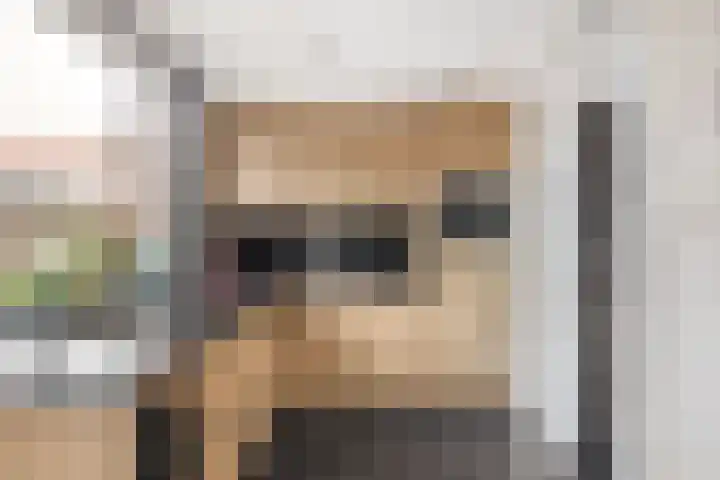 van Alkemadelaan 44 Brielle thumbnail 19