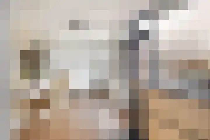 van Alkemadelaan 44 Brielle thumbnail 23