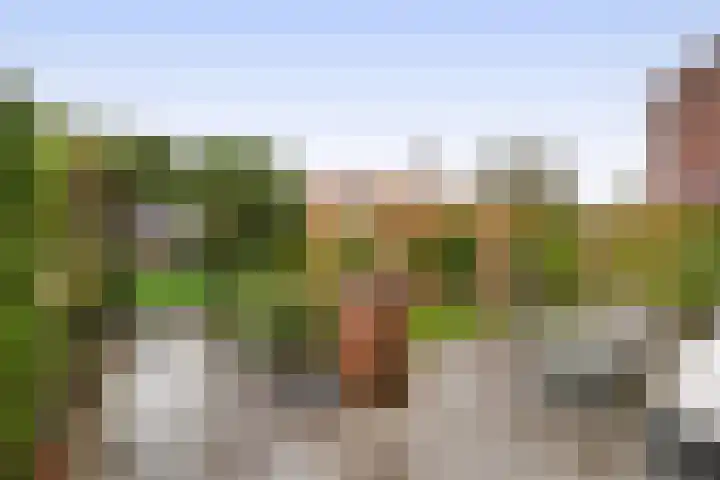 van Alkemadelaan 44 Brielle thumbnail 24