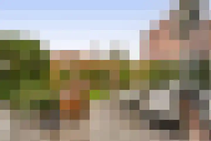 van Alkemadelaan 44 Brielle thumbnail 25