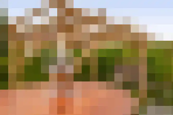 van Alkemadelaan 44 Brielle thumbnail 26