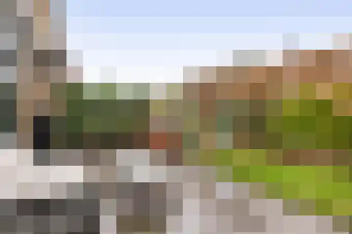 van Alkemadelaan 44 Brielle thumbnail 27