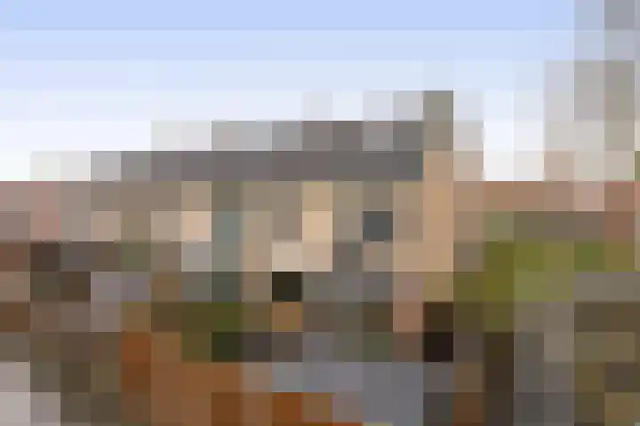 van Alkemadelaan 44 Brielle thumbnail 32