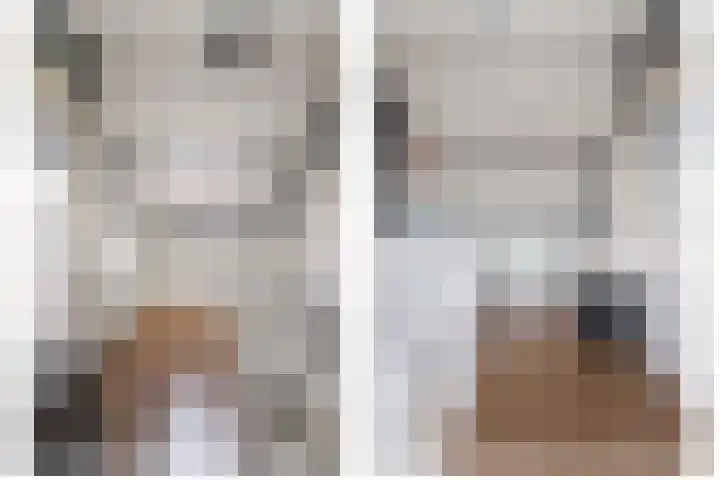van Alkemadelaan 44 Brielle thumbnail 44