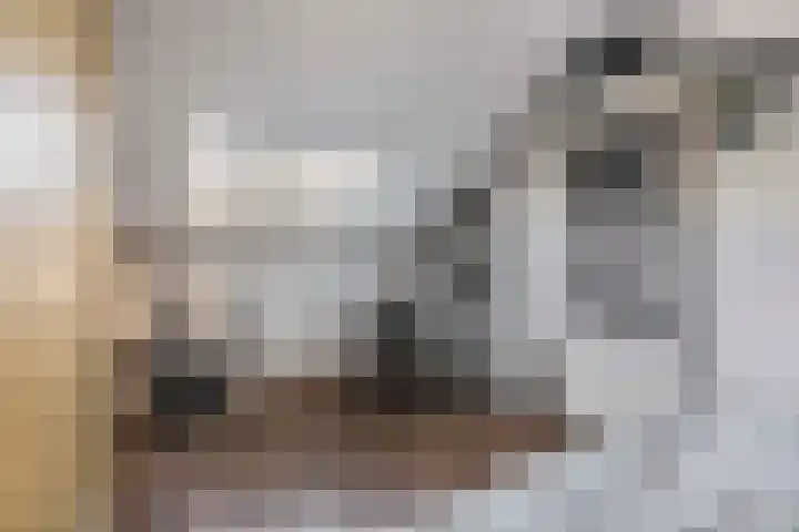 van Alkemadelaan 44 Brielle thumbnail 45