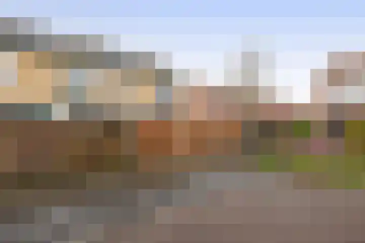 van Alkemadelaan 44 Brielle thumbnail 46