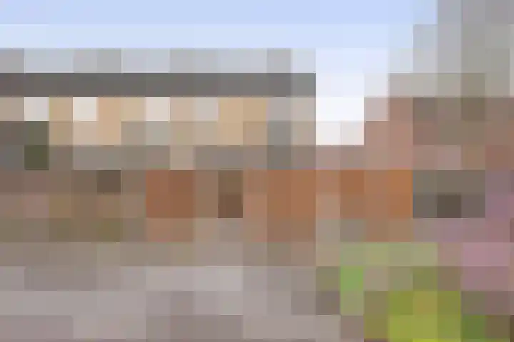 van Alkemadelaan 44 Brielle thumbnail 48