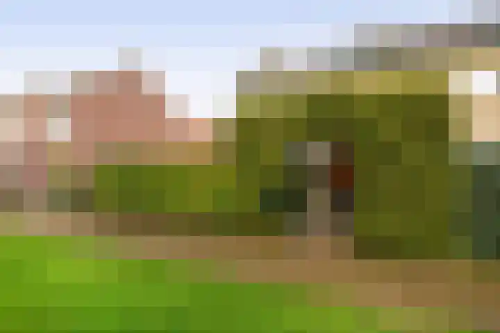 van Alkemadelaan 44 Brielle thumbnail 7
