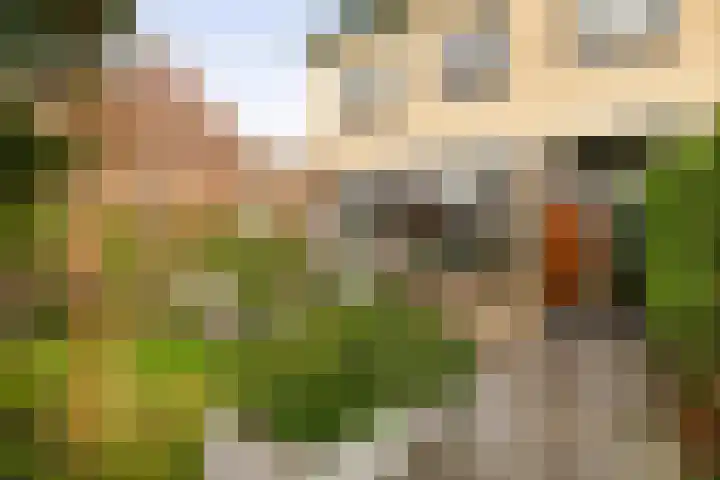 van Alkemadelaan 44 Brielle thumbnail 8