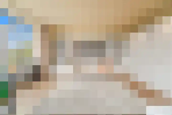 Van Alkemadelaan 506 C Den Haag thumbnail 11