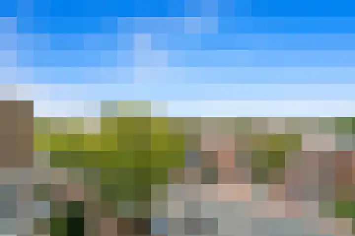 Van Alkemadelaan 506 C Den Haag thumbnail 30
