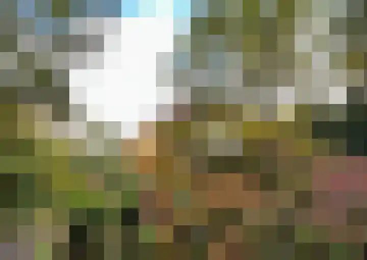 Van Alkemadelaan 506 C Den Haag thumbnail 32