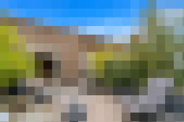 Van Alkemadelaan 506 C Den Haag thumbnail 8