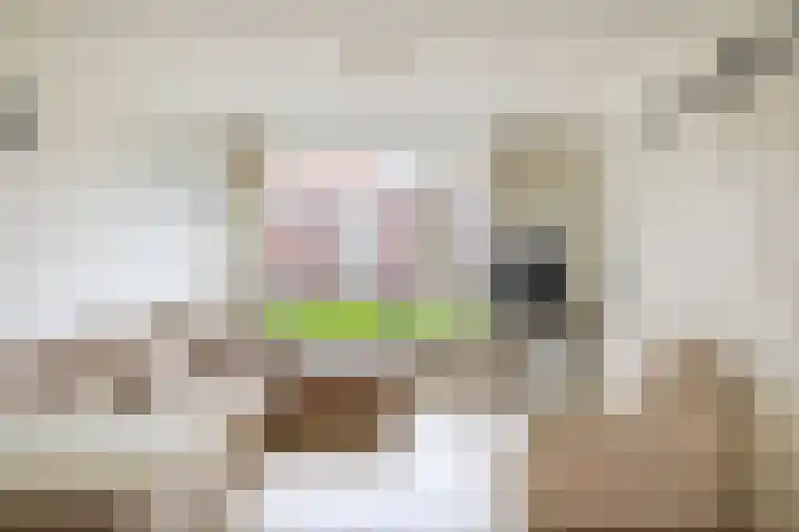 van Alkemadelaan 53 Brielle thumbnail 12
