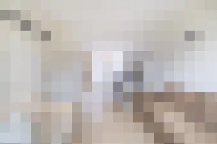 van Alkemadelaan 53 Brielle thumbnail 13
