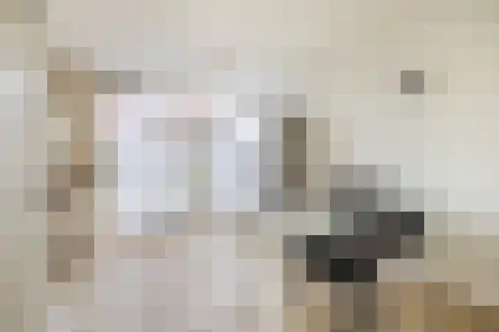 van Alkemadelaan 53 Brielle thumbnail 15
