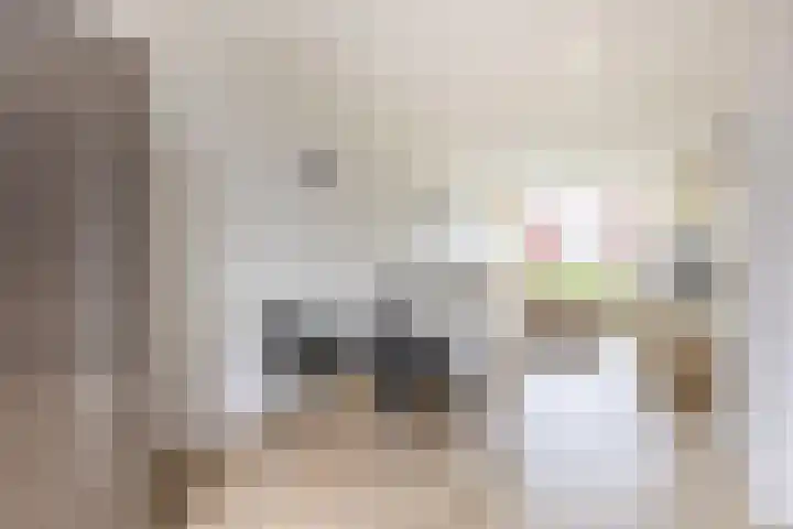 van Alkemadelaan 53 Brielle thumbnail 16