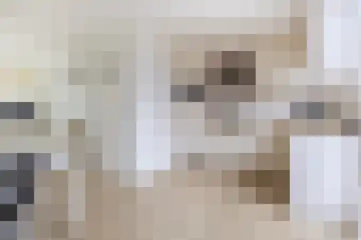 van Alkemadelaan 53 Brielle thumbnail 17
