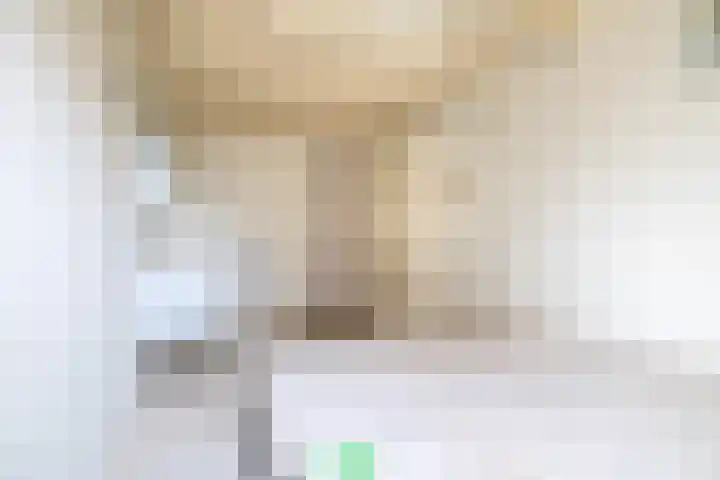 van Alkemadelaan 53 Brielle thumbnail 21