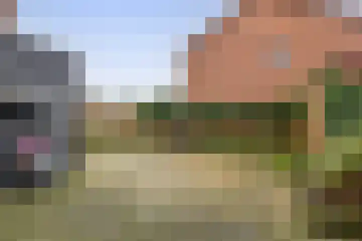 van Alkemadelaan 53 Brielle thumbnail 4
